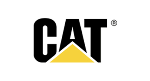 gato