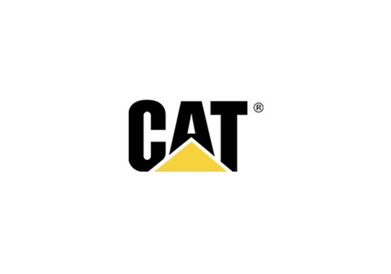Katze.png