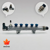 Common-Rail-Baugruppe 23810-0E010 23810-0E011 23810-0E030 f&uuml;r Toyota Land Cruiser 1GD 2GD Motor.